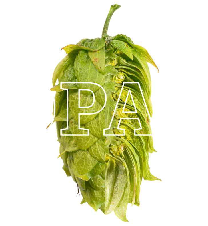 Opal Hops For Sale UK | BarthHaas